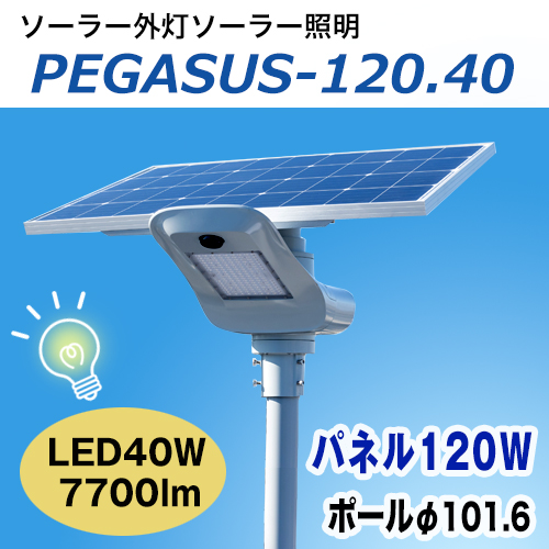 pegasus_12040.jpg